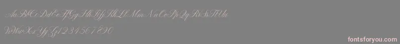 ClaudyaDemo-Schriftart – Rosa Schriften auf grauem Hintergrund