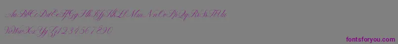ClaudyaDemo-fontti – violetit fontit harmaalla taustalla