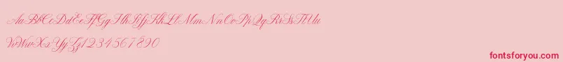 ClaudyaDemo Font – Red Fonts on Pink Background