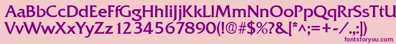 QuadratBold Font – Purple Fonts on Pink Background