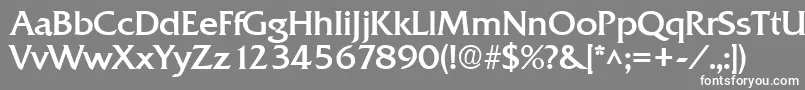 フォントQuadratBold – 灰色の背景に白い文字