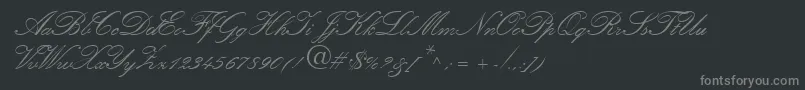 Amber Font – Gray Fonts on Black Background