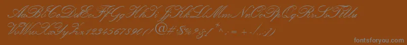 fuente Amber – Fuentes Grises Sobre Fondo Marrón