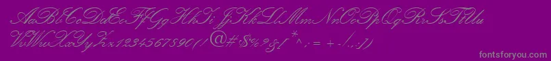 Amber Font – Gray Fonts on Purple Background