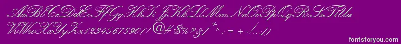 Amber Font – Green Fonts on Purple Background