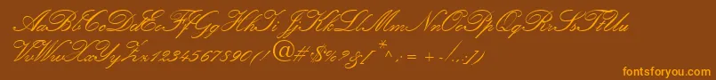 フォントAmber – オレンジ色の文字が茶色の背景にあります。