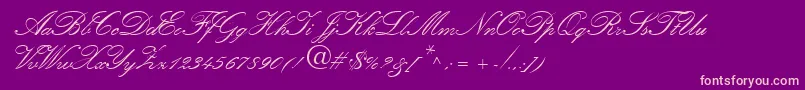Amber Font – Pink Fonts on Purple Background