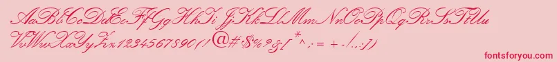 Amber-Schriftart – Rote Schriften auf rosa Hintergrund