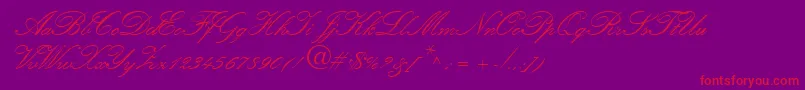 Amber Font – Red Fonts on Purple Background