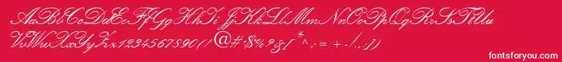 フォントAmber – 赤い背景に白い文字