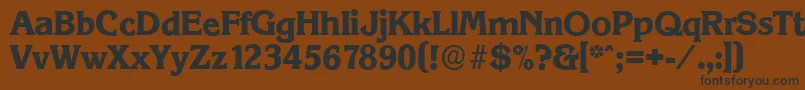 KorinthserialXboldRegular Font – Black Fonts on Brown Background