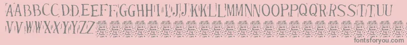 RandydeDemo Font – Gray Fonts on Pink Background