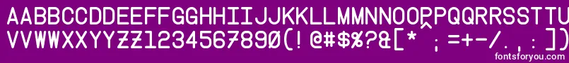 Instruction Font – White Fonts on Purple Background