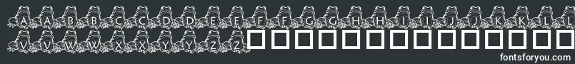 フォントPfFrogSitting – 黒い背景に白い文字