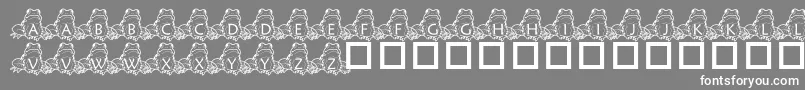 PfFrogSitting-Schriftart – Weiße Schriften auf grauem Hintergrund