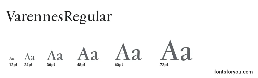Размеры шрифта VarennesRegular
