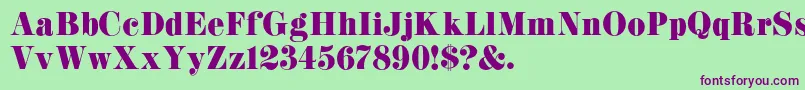 K22Didoni Font – Purple Fonts on Green Background