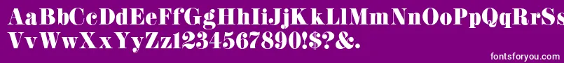 フォントK22Didoni – 紫の背景に白い文字