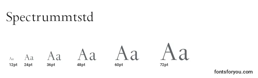 Spectrummtstd Font Sizes