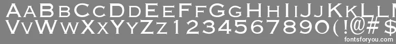 フォントEndsaverLight – 灰色の背景に白い文字