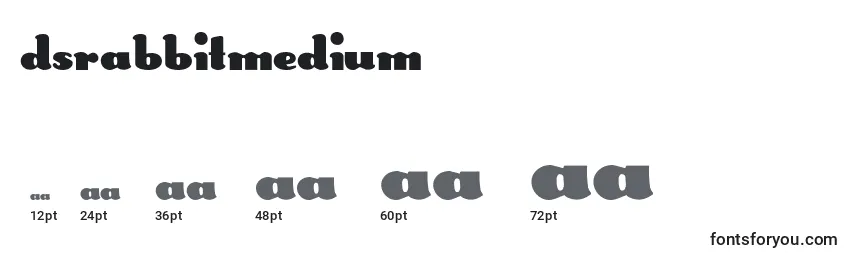 Dsrabbitmedium Font Sizes