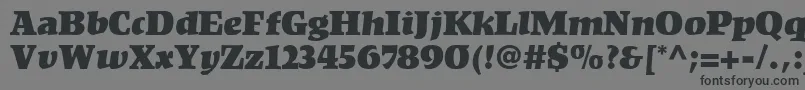 KompaktLt Font – Black Fonts on Gray Background