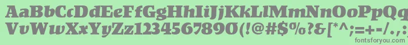 KompaktLt Font – Gray Fonts on Green Background