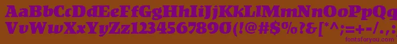 KompaktLt Font – Purple Fonts on Brown Background