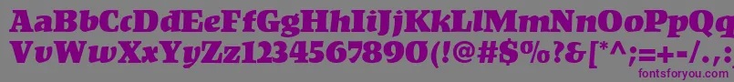 KompaktLt Font – Purple Fonts on Gray Background