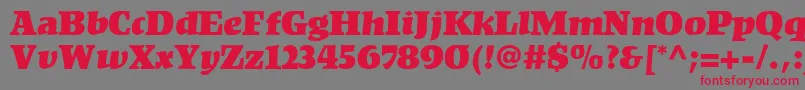 KompaktLt Font – Red Fonts on Gray Background