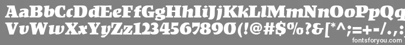 KompaktLt Font – White Fonts on Gray Background