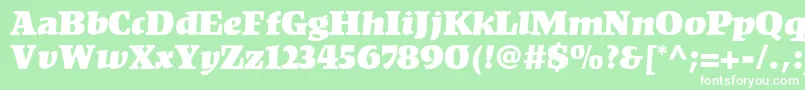 KompaktLt Font – White Fonts on Green Background
