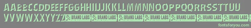 WednesdayMatineeShadow Font – Green Fonts on Gray Background