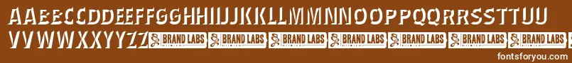 WednesdayMatineeShadow Font – White Fonts on Brown Background