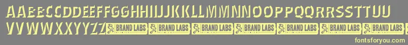 WednesdayMatineeShadow Font – Yellow Fonts on Gray Background