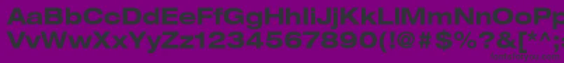 ContextRepriseExpandedSsiBoldExpanded Font – Black Fonts on Purple Background