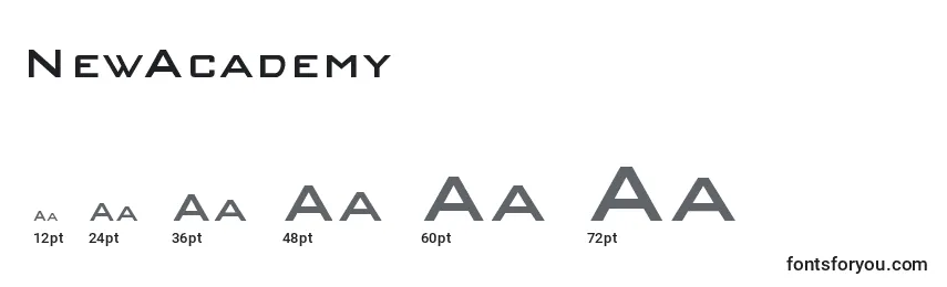 NewAcademy Font Sizes