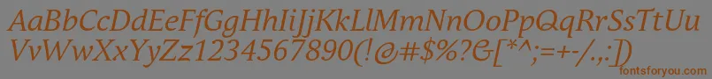 AndulkaBookProItalic Font – Brown Fonts on Gray Background