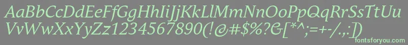 AndulkaBookProItalic Font – Green Fonts on Gray Background