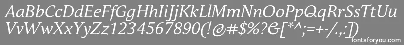 AndulkaBookProItalic Font – White Fonts on Gray Background