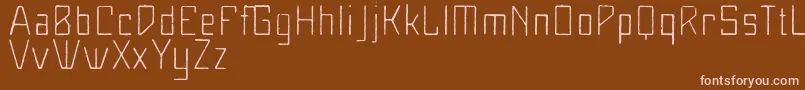 MaiersNr8Leicht Font – Pink Fonts on Brown Background