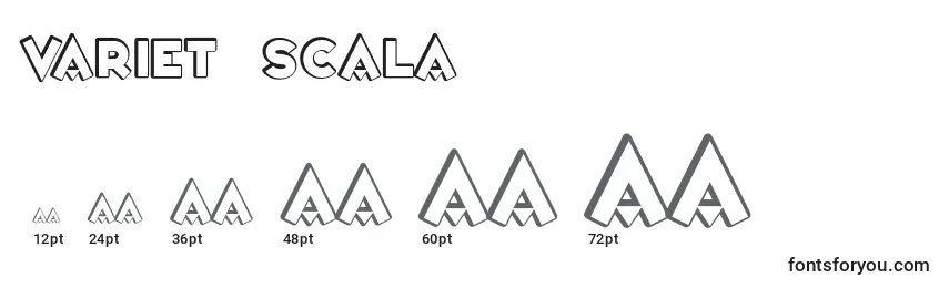 Размеры шрифта VarietРІScala