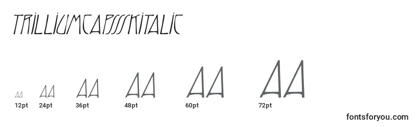 TrilliumcapssskItalic Font Sizes
