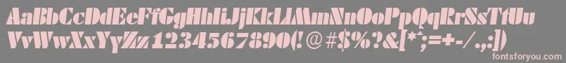 DekoblackserialItalic Font – Pink Fonts on Gray Background