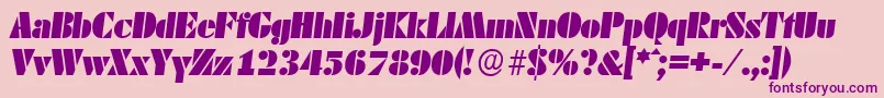 DekoblackserialItalic Font – Purple Fonts on Pink Background