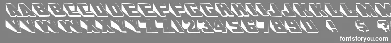 SlantsRegular Font – White Fonts on Gray Background