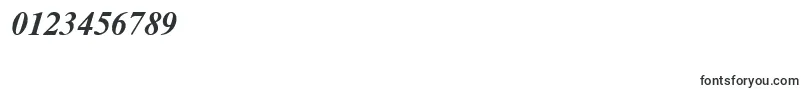 NewtonmgttBolditalic Font – Fonts for Numbers and Digits