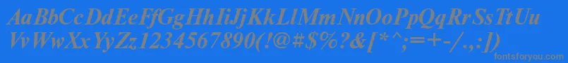 NewtonmgttBolditalic Font – Gray Fonts on Blue Background