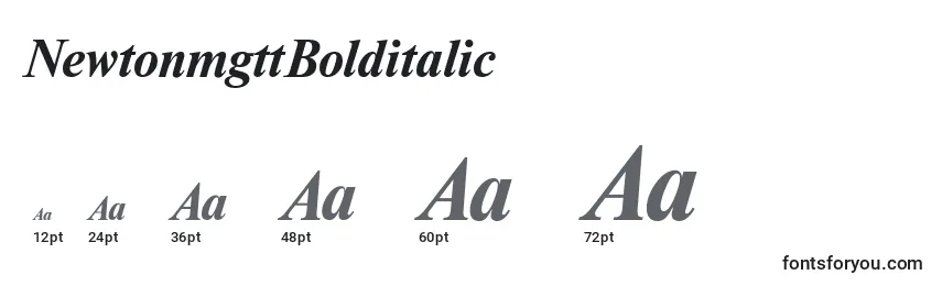 NewtonmgttBolditalic Font Sizes