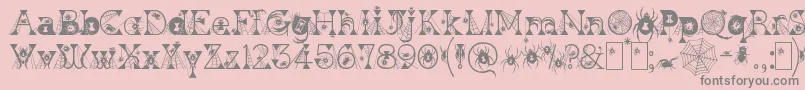 KingthingsWidow Font – Gray Fonts on Pink Background